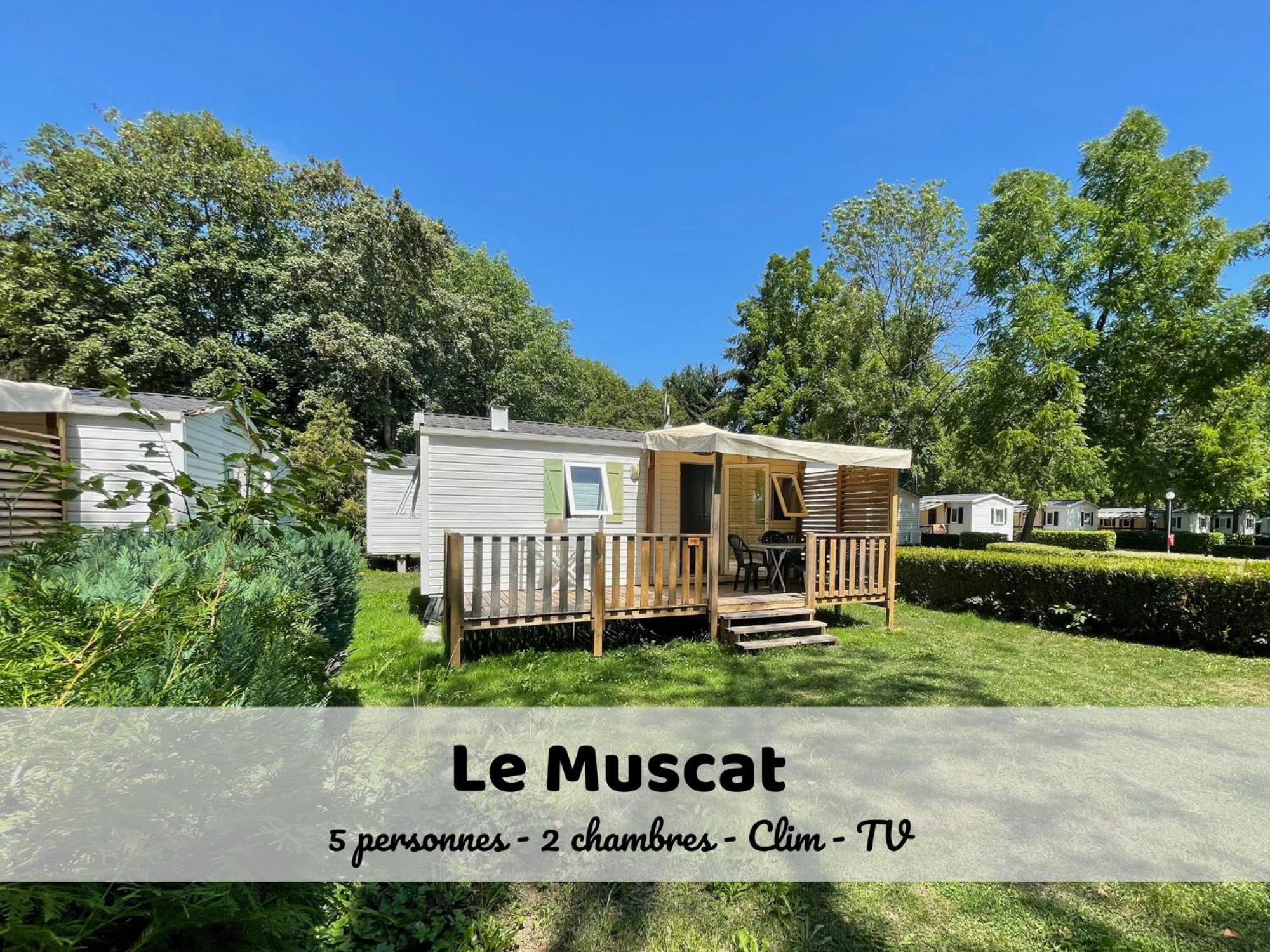 Le Muscat - Bungalow Pour 5 - Tv - Clim Boofzheim Værelse billede